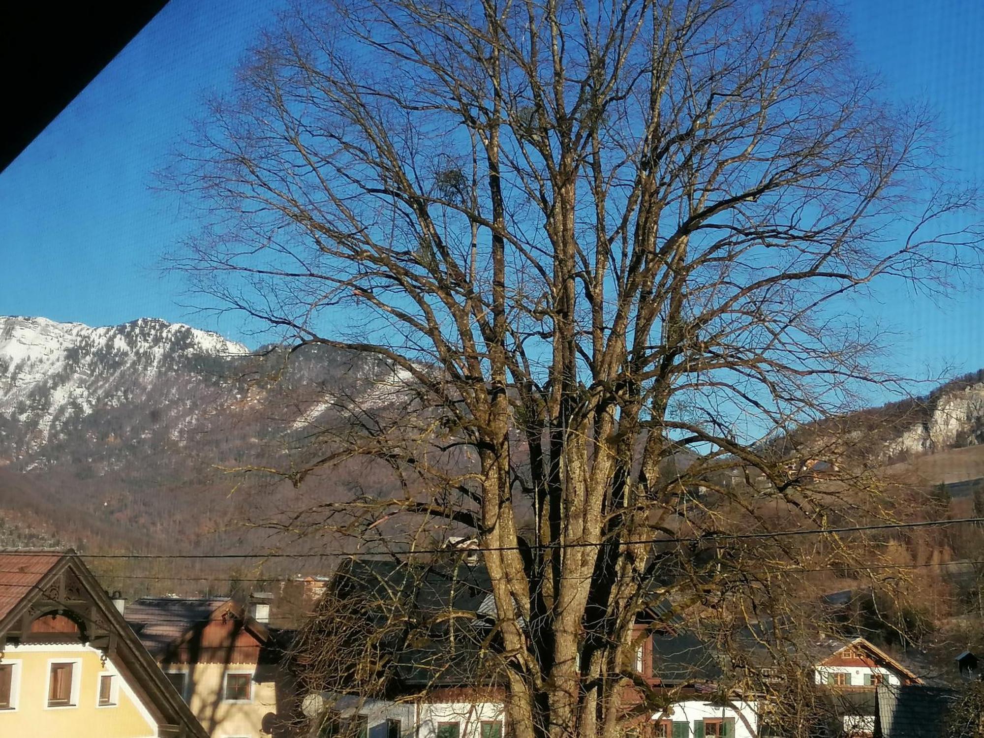 Alpenblumal Apartment Bad Goisern Luaran gambar