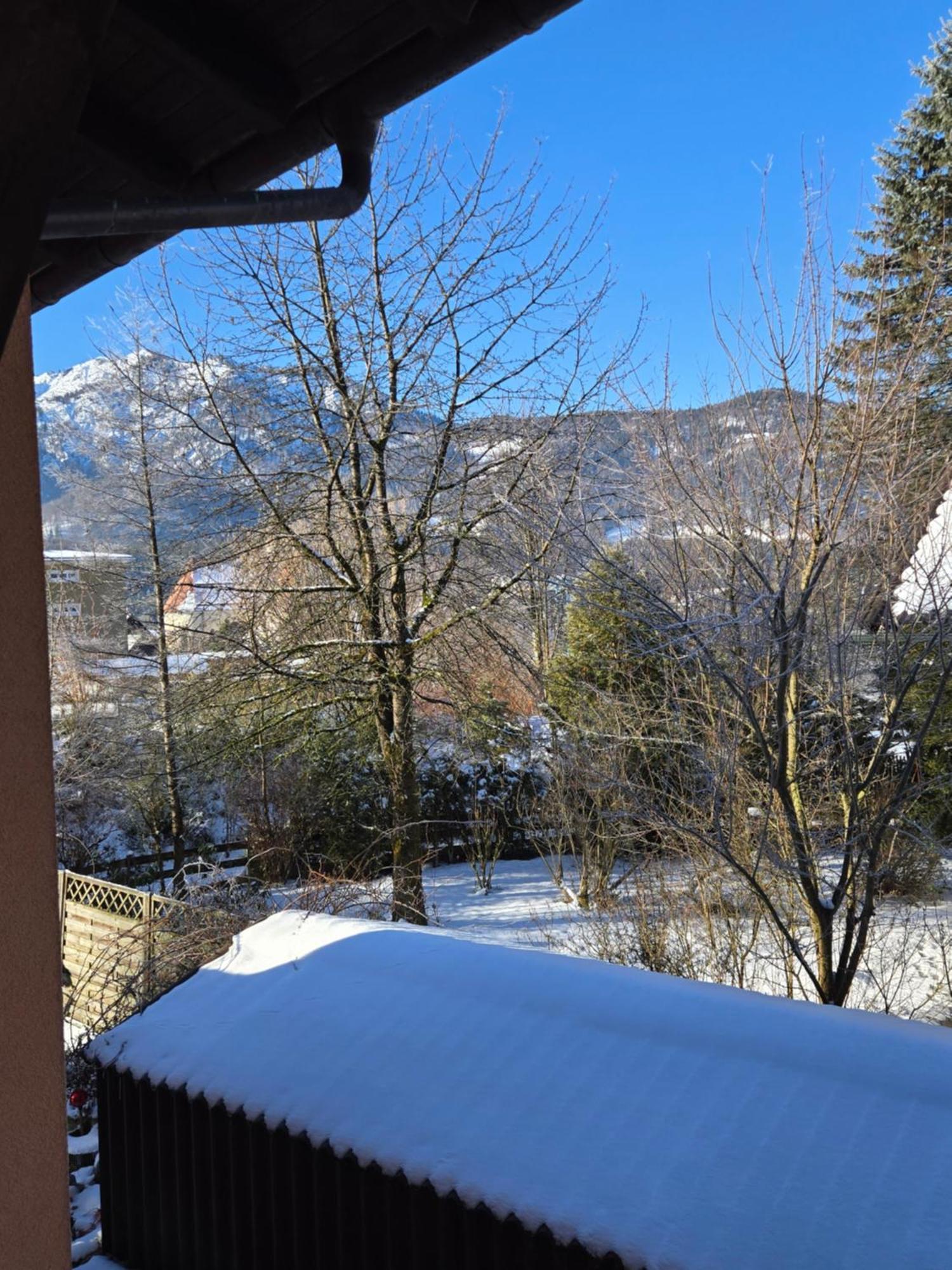 Alpenblumal Apartment Bad Goisern Luaran gambar